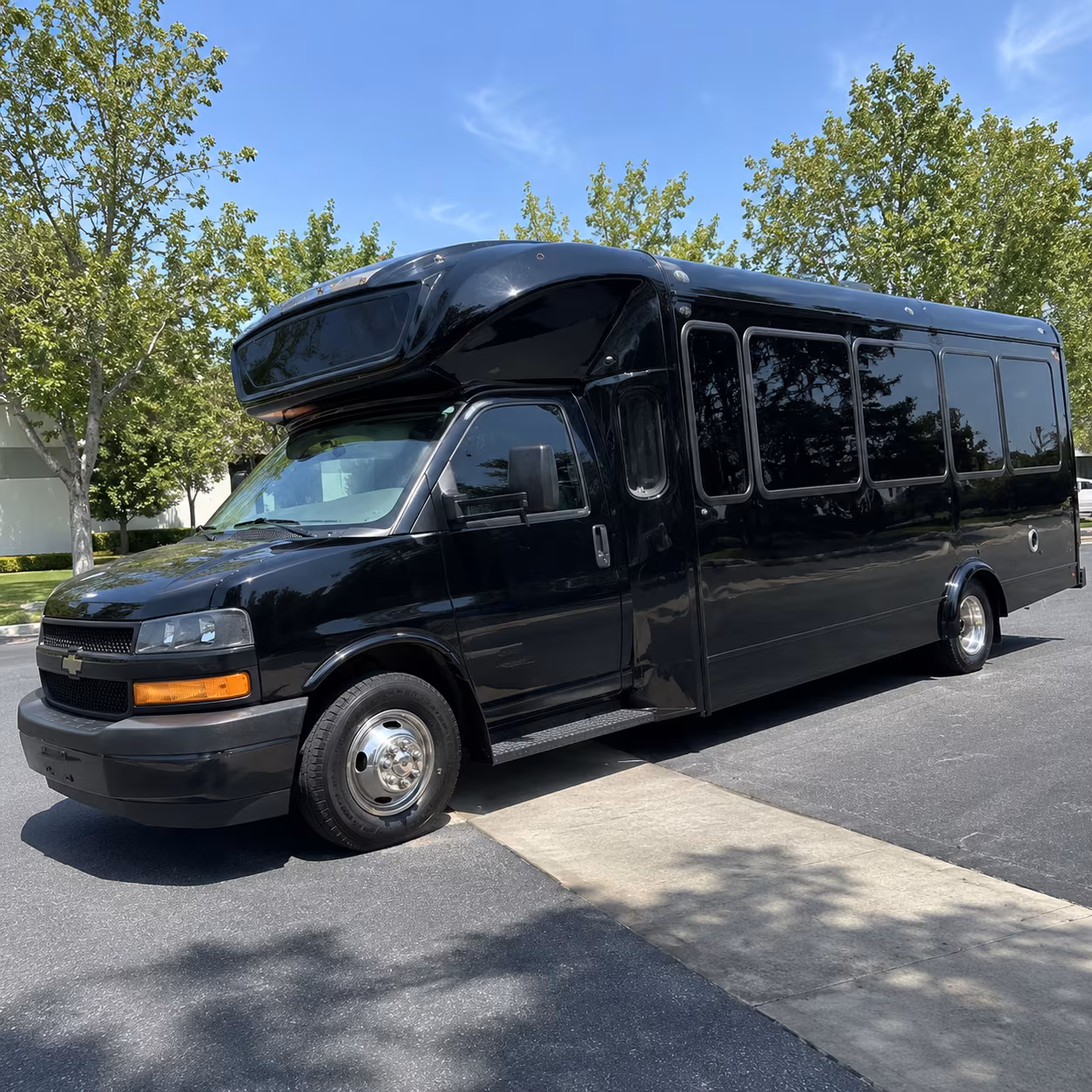 hemet 15 passenger party bus