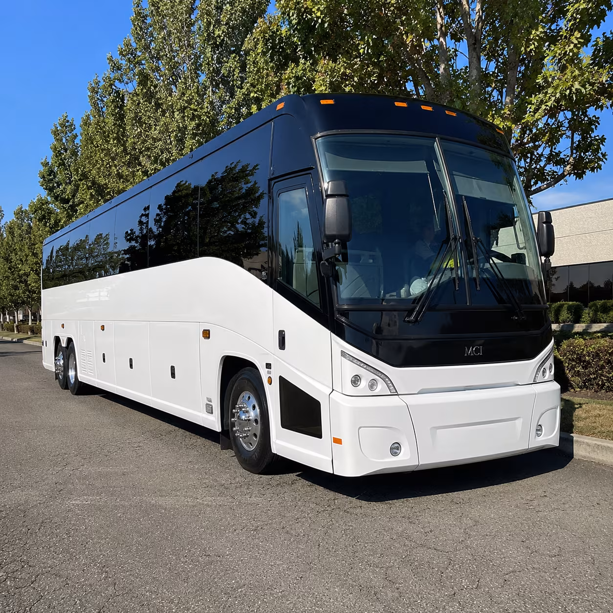 hemet 50 passenger charter bus