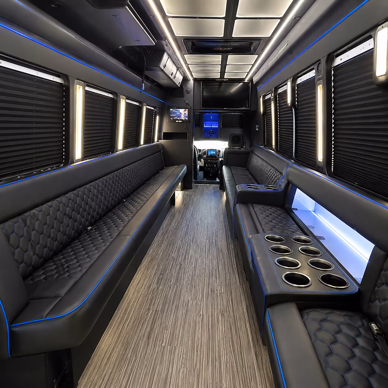 hemet party bus inside
