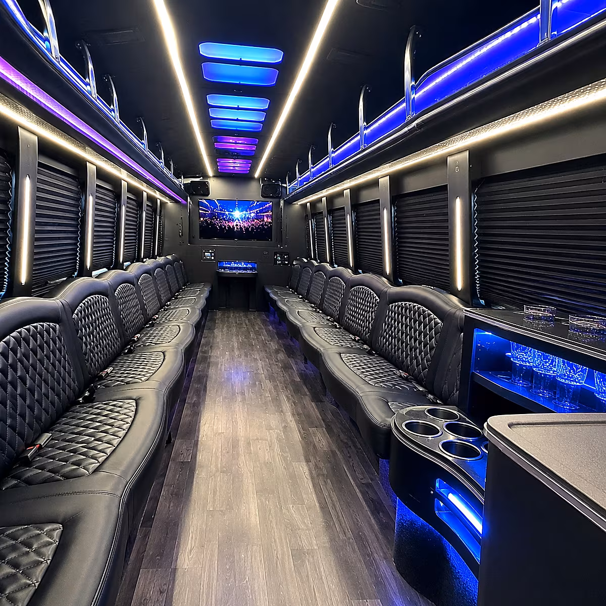hemet party bus interior