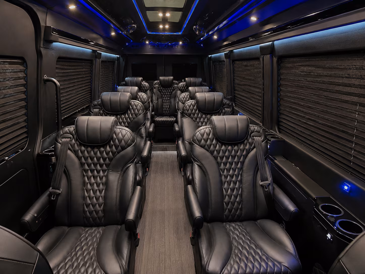 hemet sprinter van with driver inside