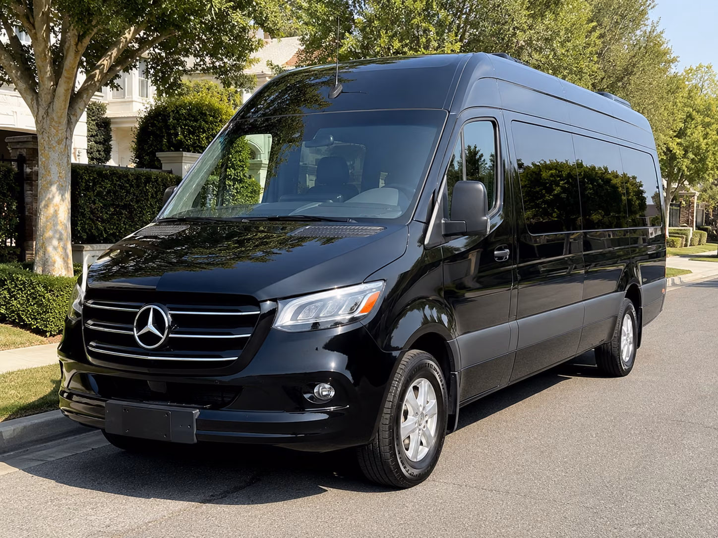 hemet sprinter van with driver